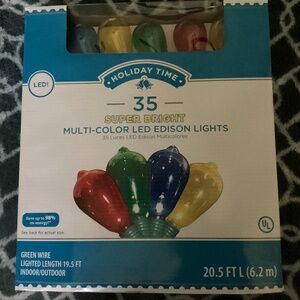 Holiday Time 35 Super Bright Multi-Color LED Edison Lights New
